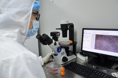 干细胞药物研发、注册申报及转化应用