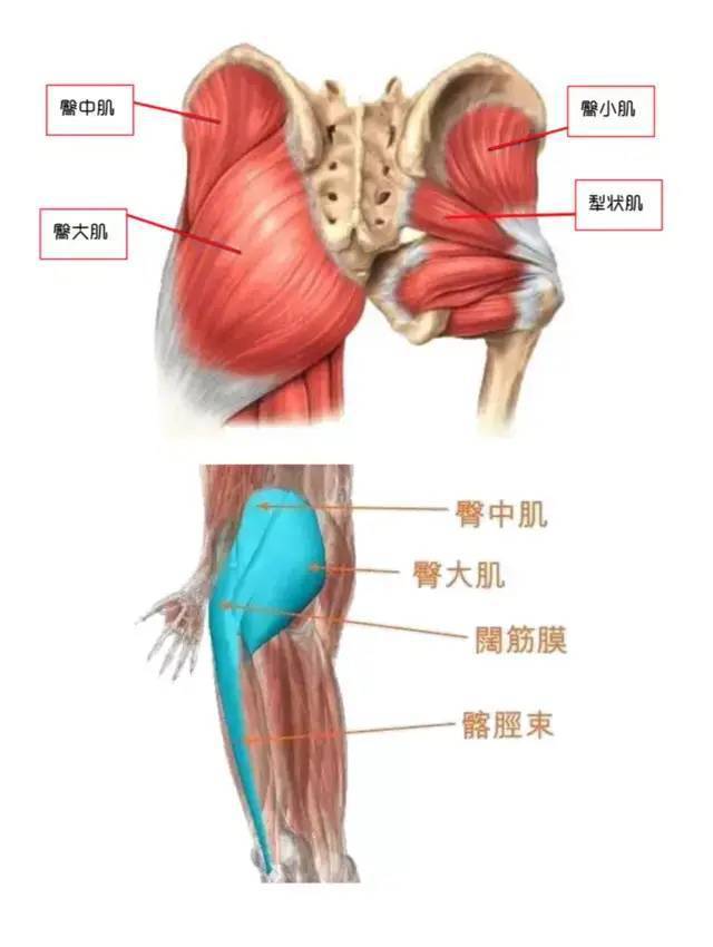 最新臀療手法視頻，探索臀部美麗與健康之道