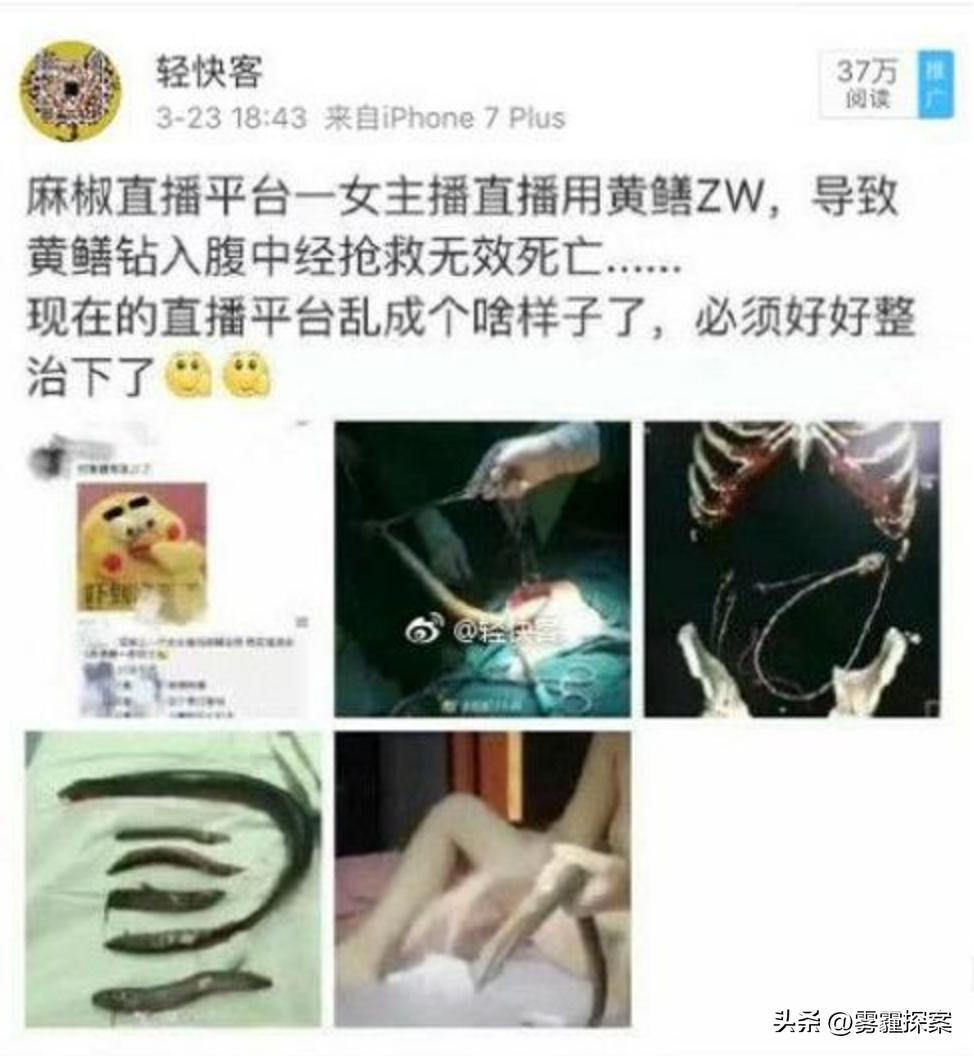 黃鱔事件揭秘，探究背后的真相與廣泛影響