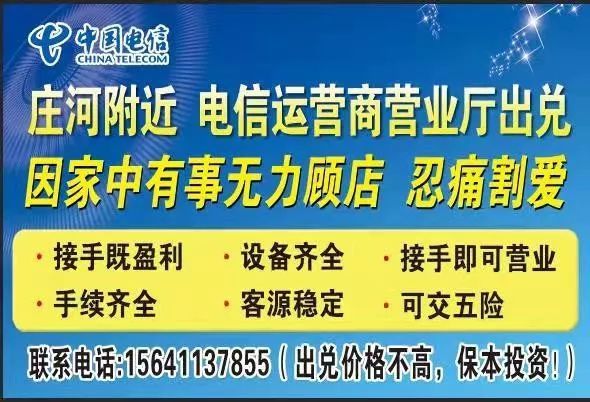 莊河最新招聘網，人才與機遇的橋梁