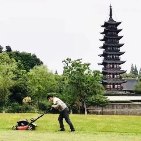 中山年票最新動(dòng)態(tài)，政策調(diào)整及未來(lái)展望