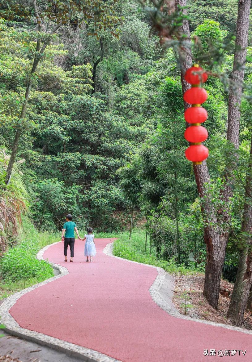 北城村委會(huì)未來繁榮藍(lán)圖，最新發(fā)展規(guī)劃揭秘