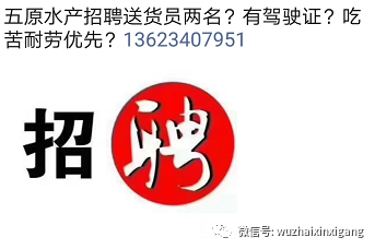 石島招聘最新信息港，人才與機遇的橋梁